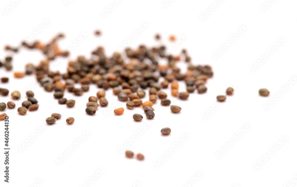 small seeds of rocket salad, local produce of Canary Islands, Spain