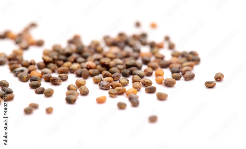 small seeds of rocket salad, local produce of Canary Islands, Spain small seeds of rocket salad, local produce of Canary Islands, Spain