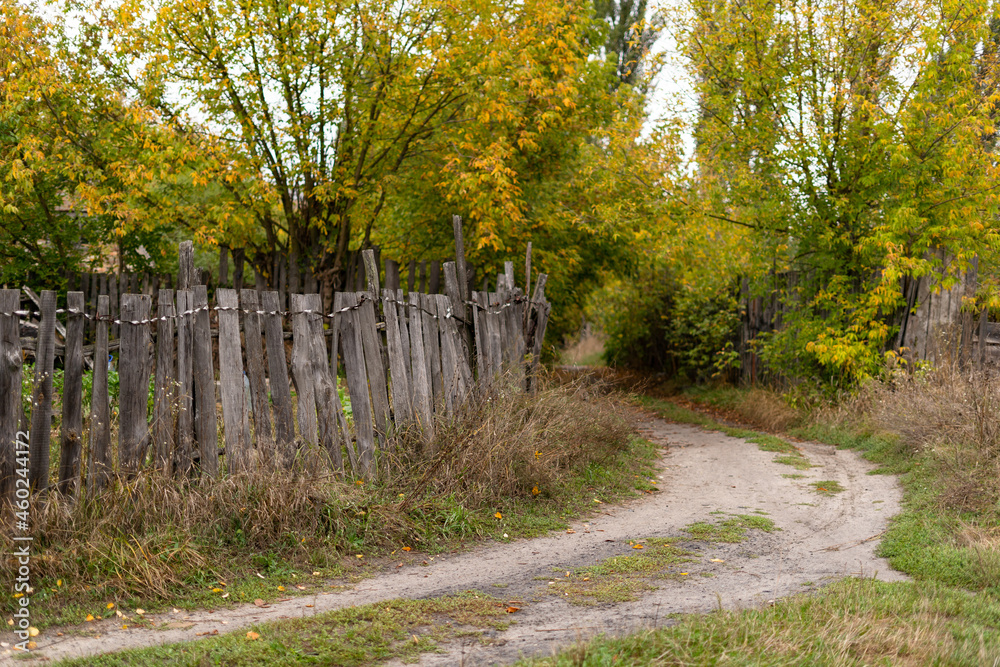 Path near the fence in autumn countryside. Walking in nature