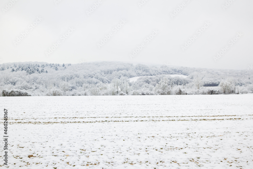 Landscape of countryside in winter. Field and forest with snow. France. Landscape of countryside in winter. Field and forest with snow. France.