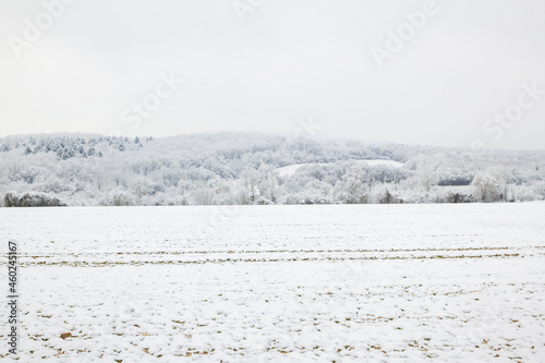 Landscape of countryside in winter. Field and forest with snow. France.