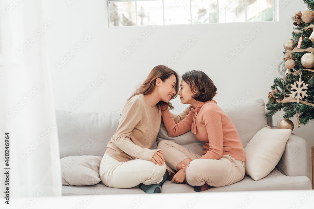 The concept of lesbian relationships. The concept of lesbian relationships.