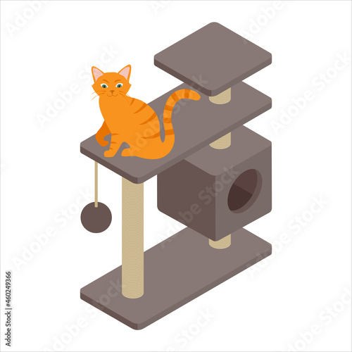 Cute ginger cat playing on tree at home