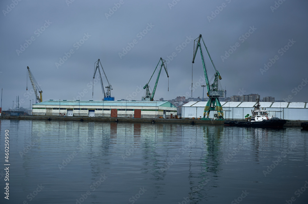 cranes and industrial buildings in the port 