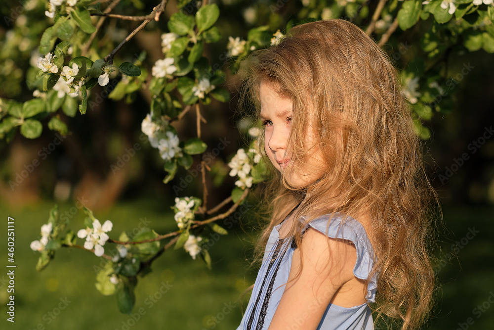 Portrait of happy little girl whith cherry tree flowers. spring bloom Portrait of happy little girl whith cherry tree flowers. spring bloom
