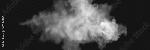 Transparent special effect stands out with fog or smoke. White cloud vector, fog or smog.