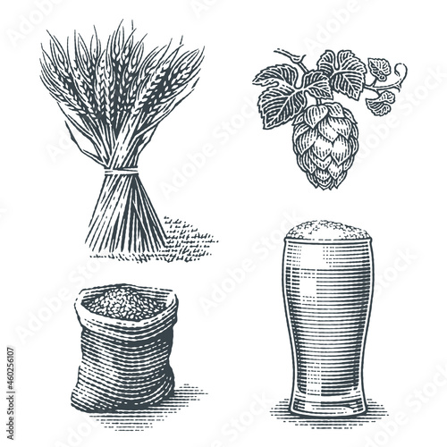 Beer set. Barley malt in burlap bag, sheaf of barley, hops and  beer pint. Hand drawn engraving style illustrations.