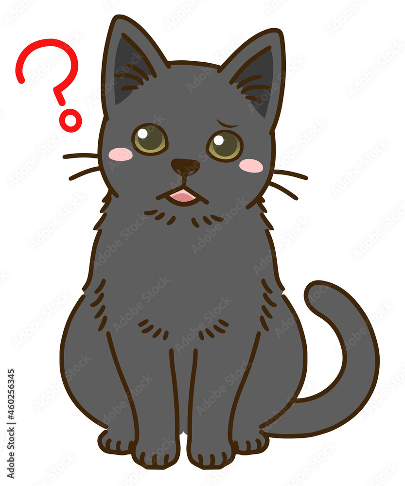 疑問に思う猫(黒) 疑問に思う猫(黒)