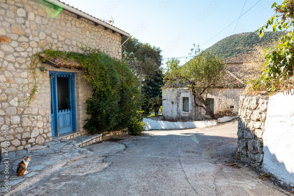 Sunny street in Greek village with traditional houses with stone walls, blue doors shutters and green trees. Cute cat sitting outside home. Summer travel in Mediterranean