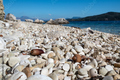 Acorns of Quercus coccifera, brown kermes oak nuts close-up on white pebble stone beach with blurred background. Close-up with blue sea in Greece, Lefkada island