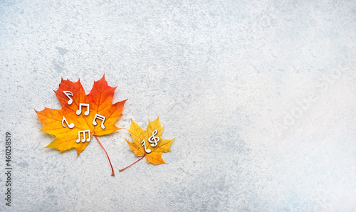 musical notes and autumn maple leaves on abstract grey background. Autumn melody  World Music day concept  1 october. fall season. flat lay. copy space