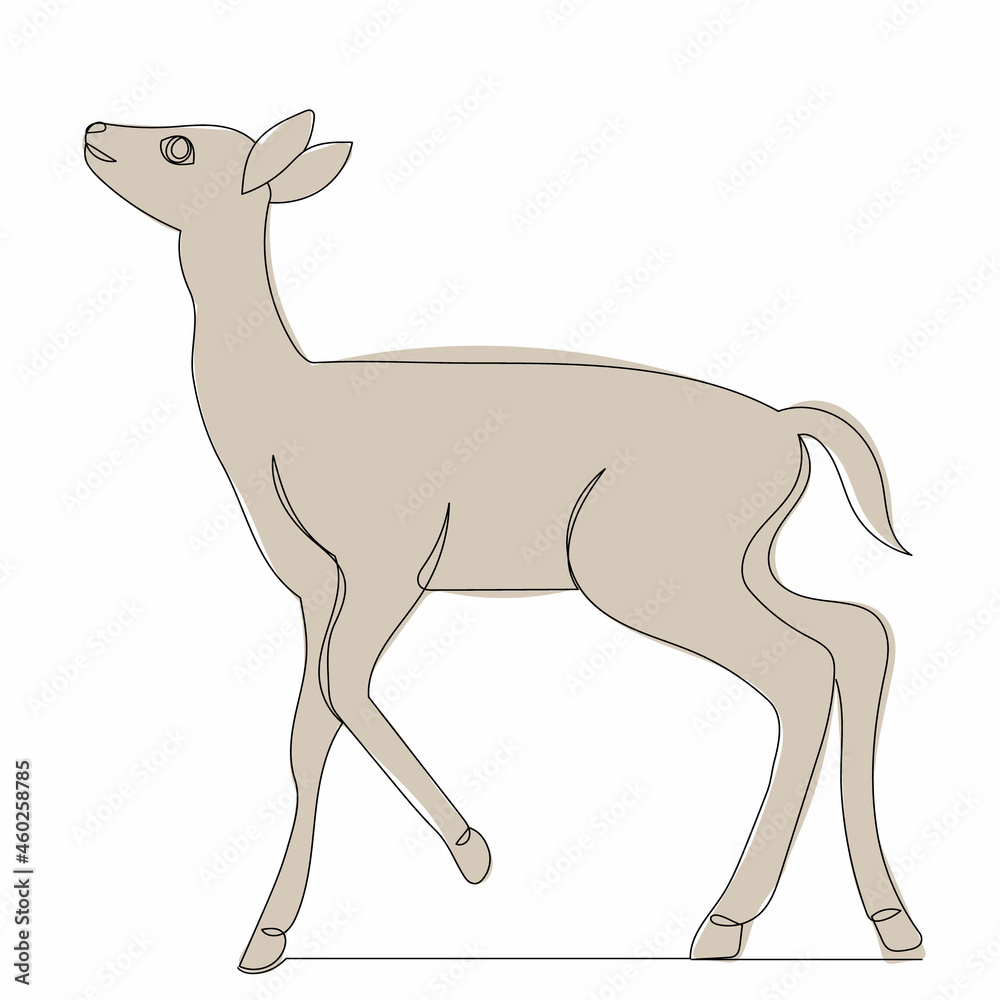 one line drawing of a fawn, isolated