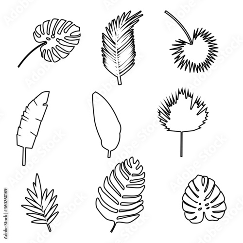 Set of palm leaves silhouette isolated on white background. Vector illustration