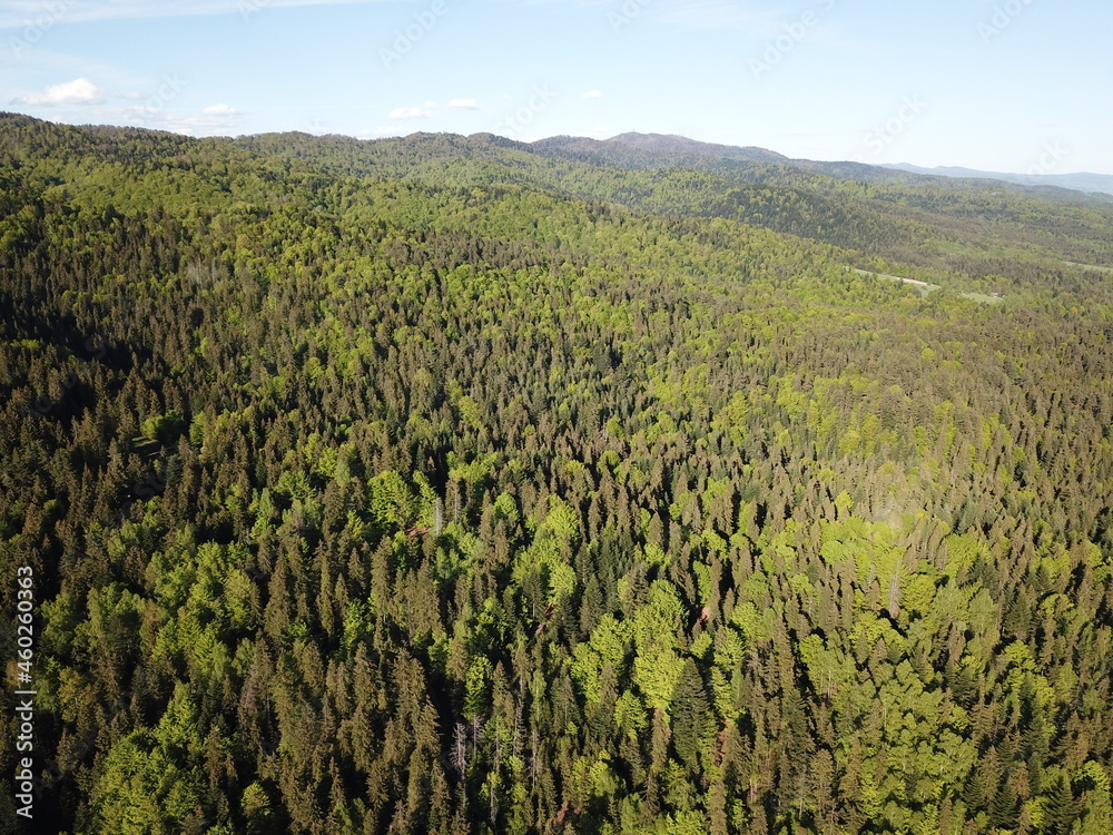 aerial view over Pieniny mountains in Poland aerial view over Pieniny mountains in Poland