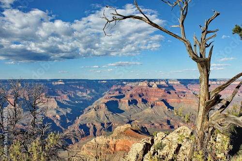 Great Canyon, USA, South Rim © roza27