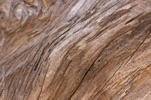 old timber texture close up