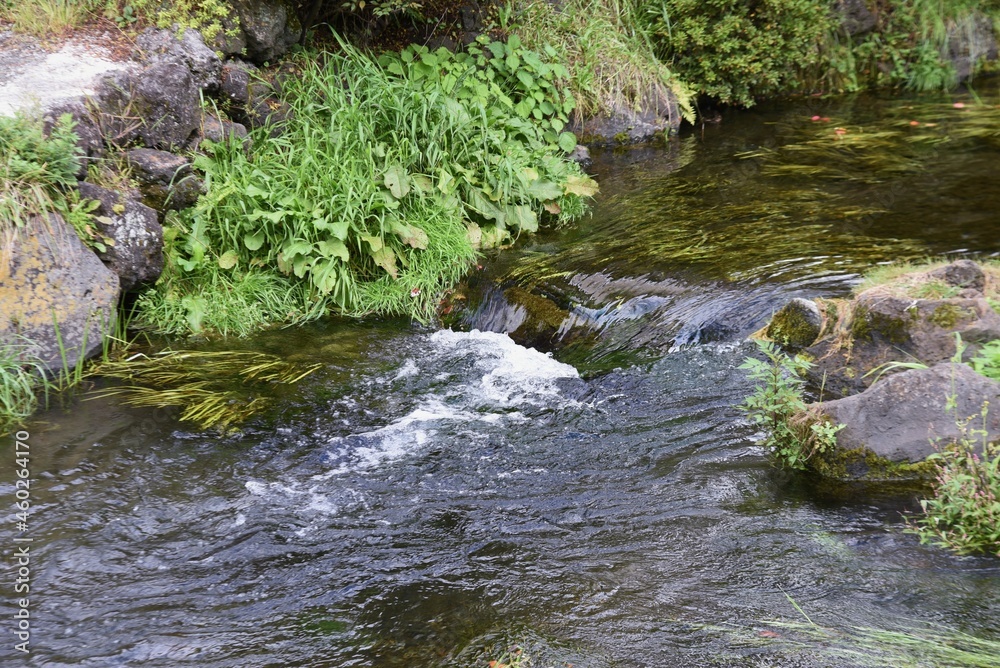 Fototapeta premium Tourist attraction in Japan.
