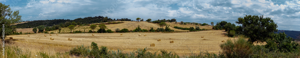 Province of Grosseto, Tuscany, Italy - July 27, 2021: Landscape in Maremma, the coastal area of western central Italy, bordering the Tyrrhenian Sea. Province of Grosseto, Tuscany, Italy - July 27, 2021: Landscape in Maremma, the coastal area of western central Italy, bordering the Tyrrhenian Sea.