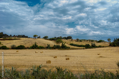 Province of Grosseto  Tuscany  Italy - July 27  2021  Landscape in Maremma  the  coastal area of western central Italy  bordering the Tyrrhenian Sea.