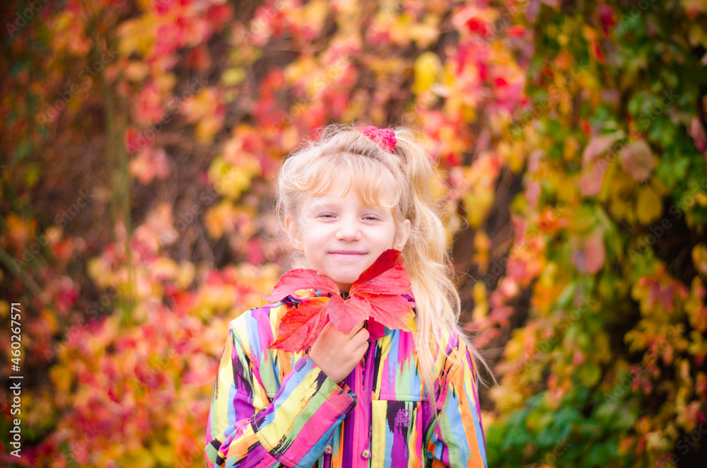 child and autumn weather and vibrant green, orange and red colors, outdoors child and autumn weather and vibrant green, orange and red colors, outdoors