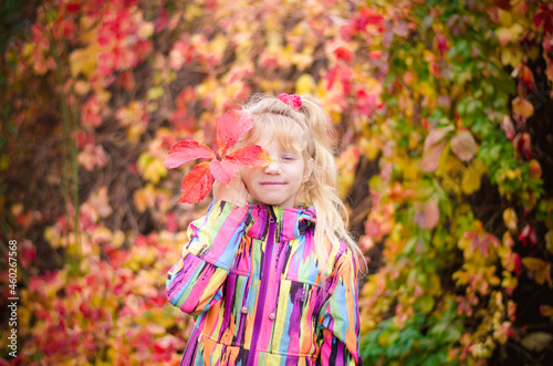 child and autumn weather and vibrant green, orange and red colors, outdoors