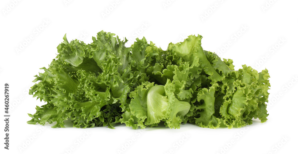 Different sorts of lettuce on white background Different sorts of lettuce on white background
