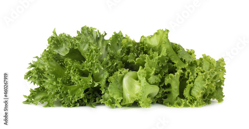 Different sorts of lettuce on white background