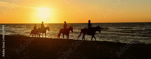 Fototapeta samoprzylepna Zachód słońca, morze, konie, plaża