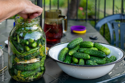 hand-made pickled cucumbers in a jar. Ręcznie robione ogórki kiszone w słoiku.
