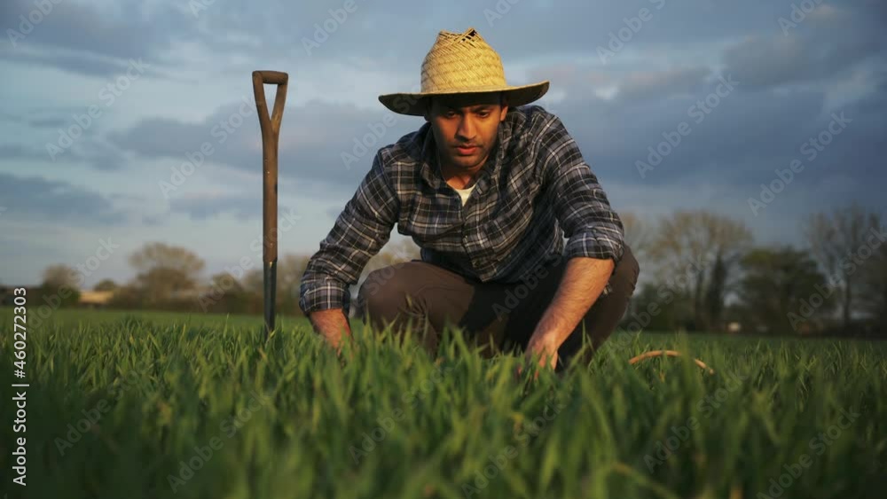 Mixed race male farmer planting crops in green fields Mixed race male farmer planting crops in green fields