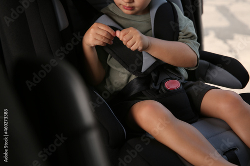 Little boy fastened with car safety belt in child seat, closeup