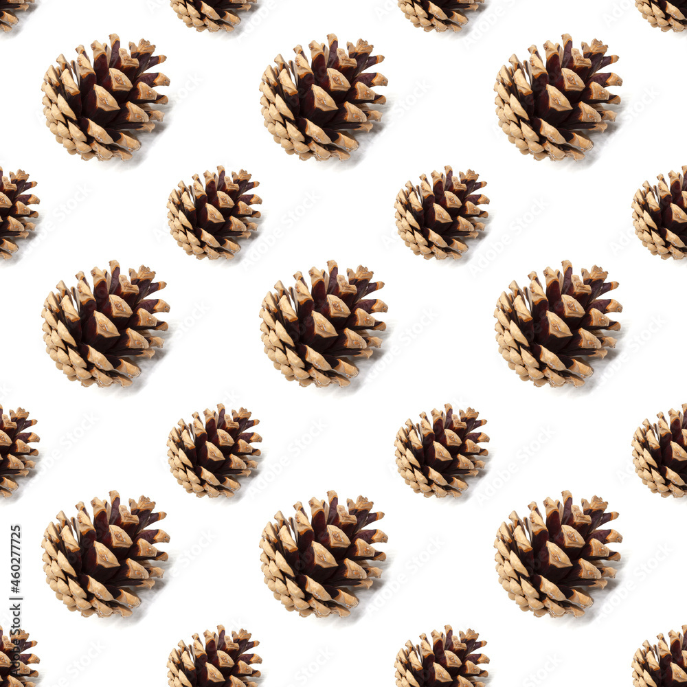 Dry pine cone seamless pattern isolated on white background. Symbol of Christmas and New Year. Autumn and winter season concept. Design element Dry pine cone seamless pattern isolated on white background. Symbol of Christmas and New Year. Autumn and winter season concept. Design element