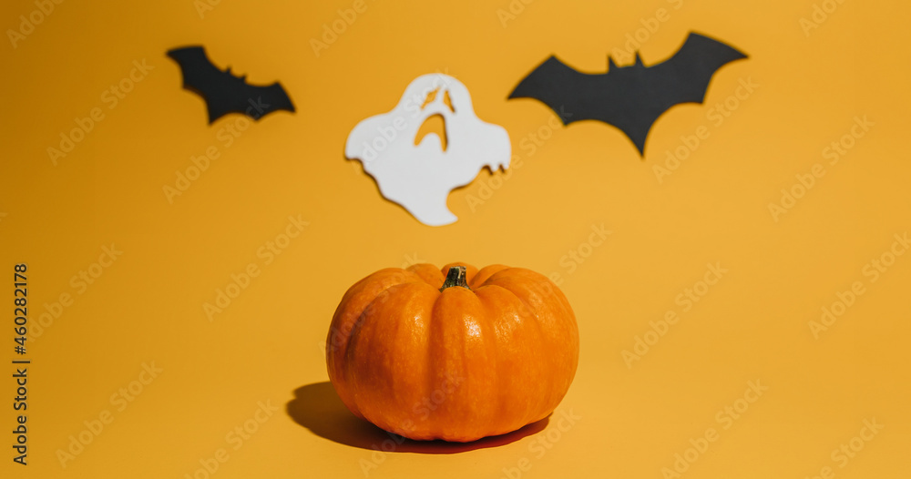 Fresh ripe pumpkin on orange background. Space with bats and ghost Halloween concept
