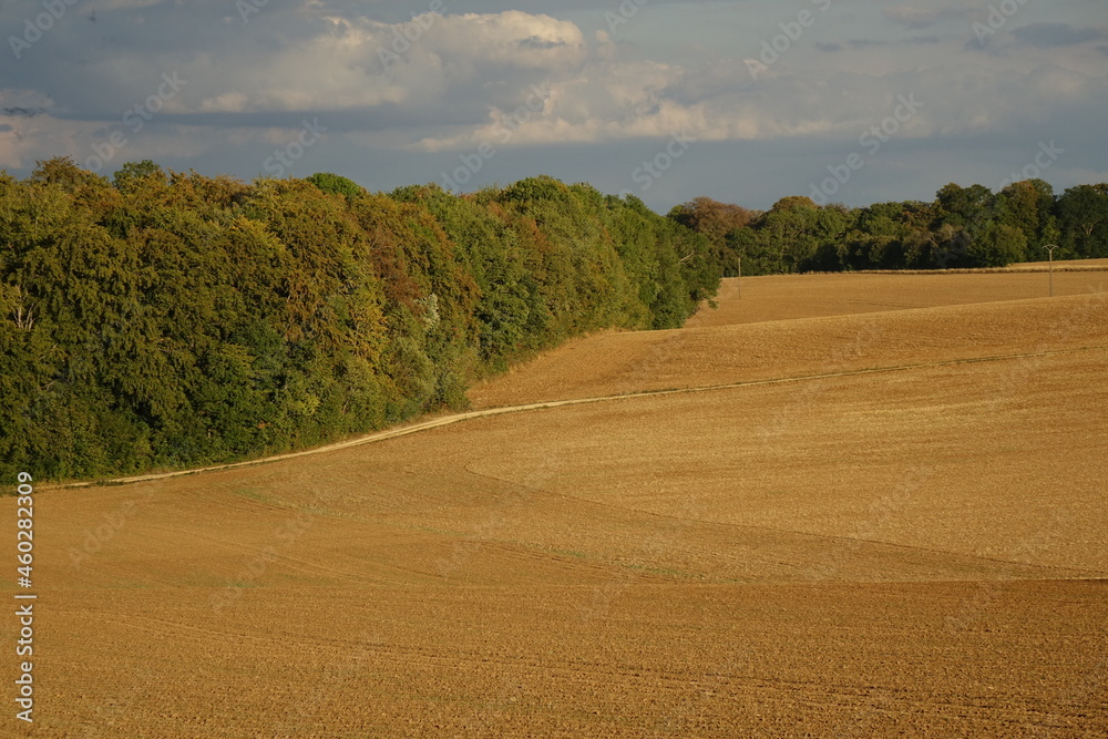 Fototapeta premium Late summer landscape at evening dusk in northern France 