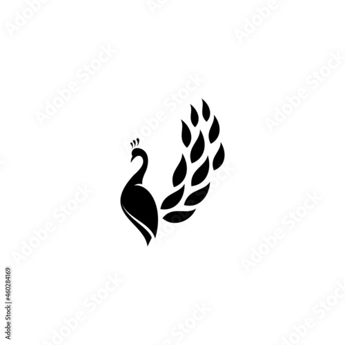 Peacock Abstract Logo Design Vector