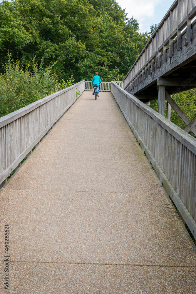 Cycling on a bike path with a steep slope to relax in nature, province of Gelderland, the Netherlands