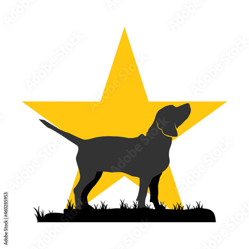 Illustration Vector Graphic of Star Beagle Dog Logo. Perfect to use for Technology Company