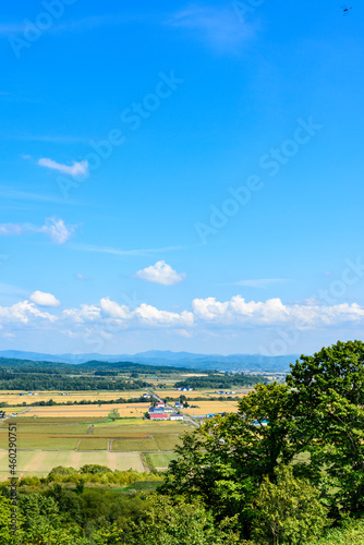 Wallpaper Mural 萌の丘　素晴らしい道央の穀倉地帯を望む Torontodigital.ca