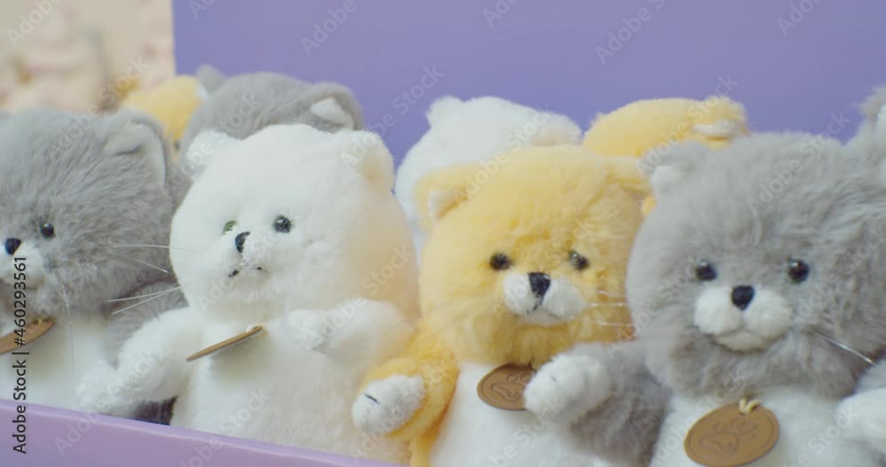 cute stuffed toys on the showcase.close-up. cute stuffed toys on the showcase.close-up.