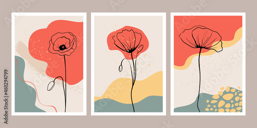 Set of posters with trende shapes and hand drawn line poppies. Botanical wall...