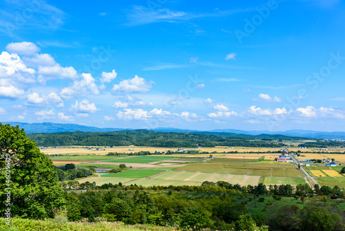 Wallpaper Mural 萌の丘　素晴らしい道央の穀倉地帯を望む Torontodigital.ca