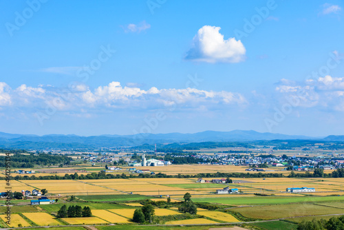 萌の丘　素晴らしい道央の穀倉地帯を望む © rujin