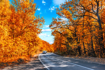 autumn asphalt road landscape and car in motion on beautiful cloudy day. Travel auto trip autumn rain road in forest under dramatic cloudy sky. fall color