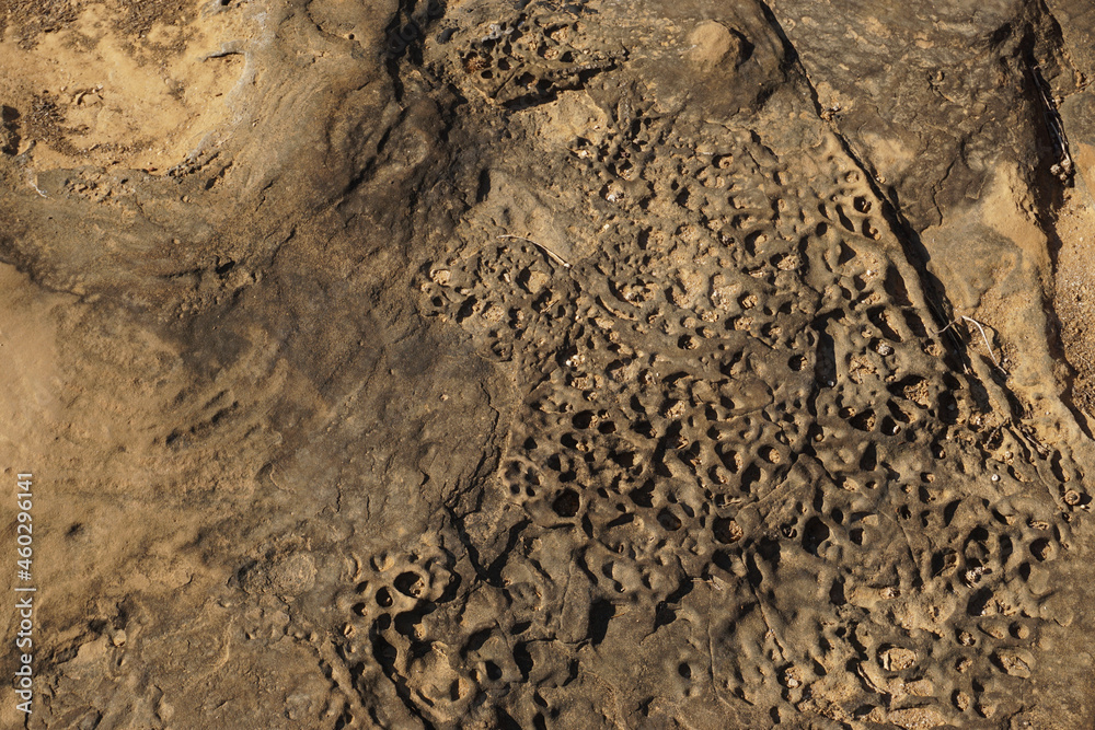Ocean Stone Texture Natural Ocean Stone Texture Natural