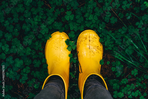 Canvastavla Yellow rubber boots on green grass. Above.