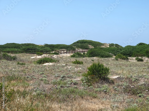 Beautiful island with wild dunes Sao Jacinto or San Antonio in Portugal