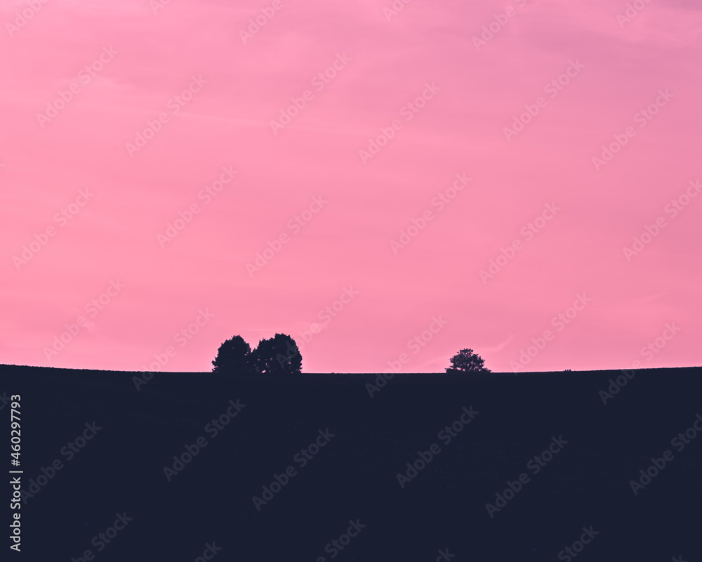 Pink sunset sky with black trees silhouette, landscape, countryside, evening hour, image, wallpaper