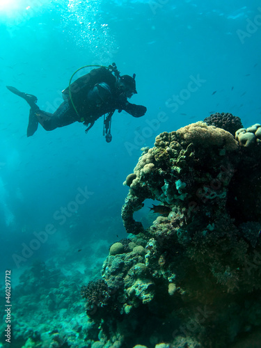 scuba diver © likbatonboot
