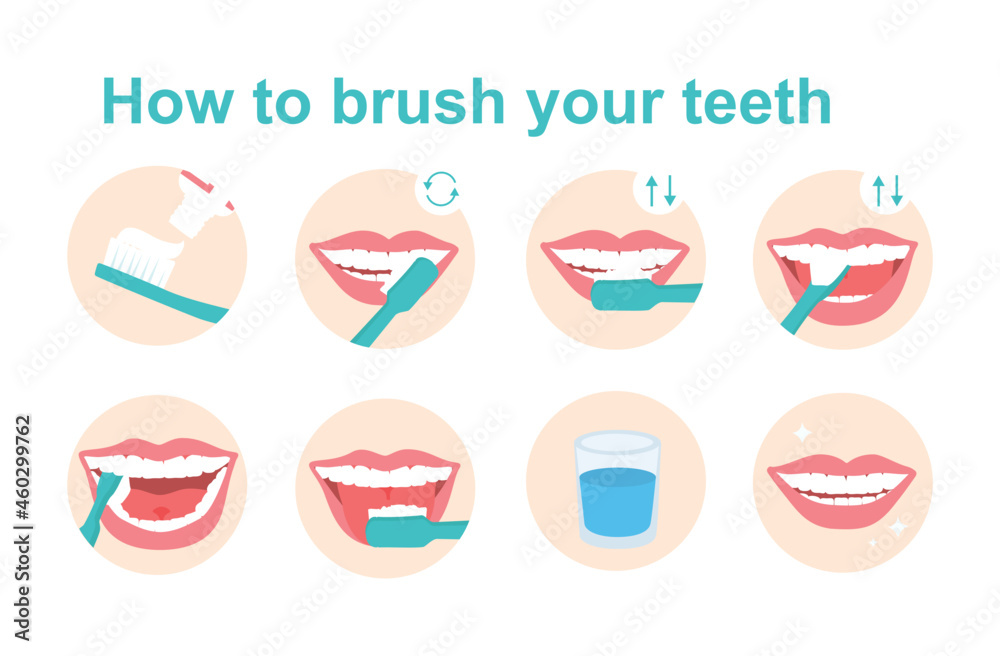 How to brush your teeth stepbystep instruction Stock Vector Adobe Stock