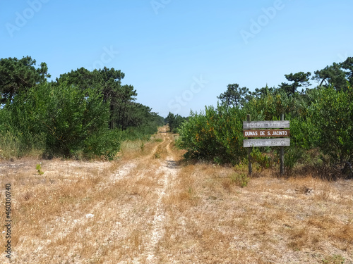 Beautiful island with wild dunes Sao Jacinto or San Antonio in Portugal